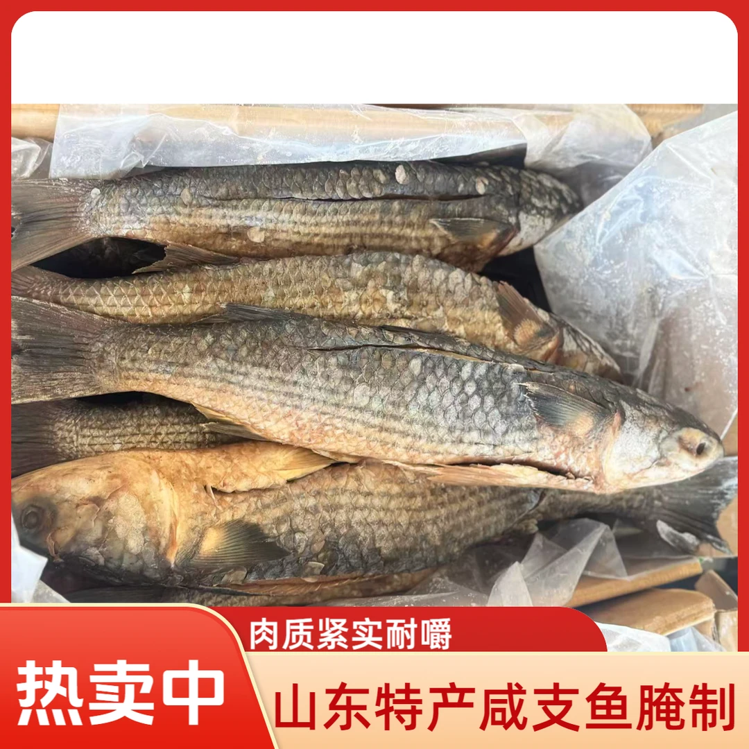 山东特产咸支鱼海捕支鱼乌鲻鱼梭子鱼乌鱼2条装