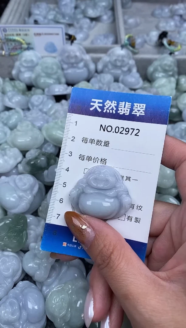 颈饰未镶嵌翡翠纯天然A货翡翠2972