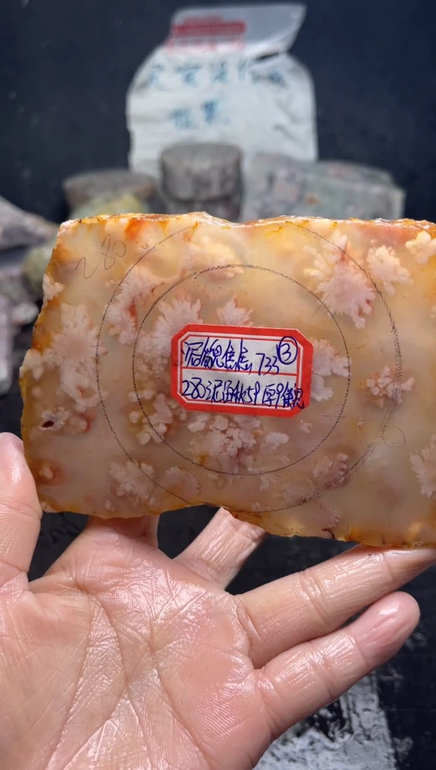 未镶嵌56定制玛瑙容**虑-733