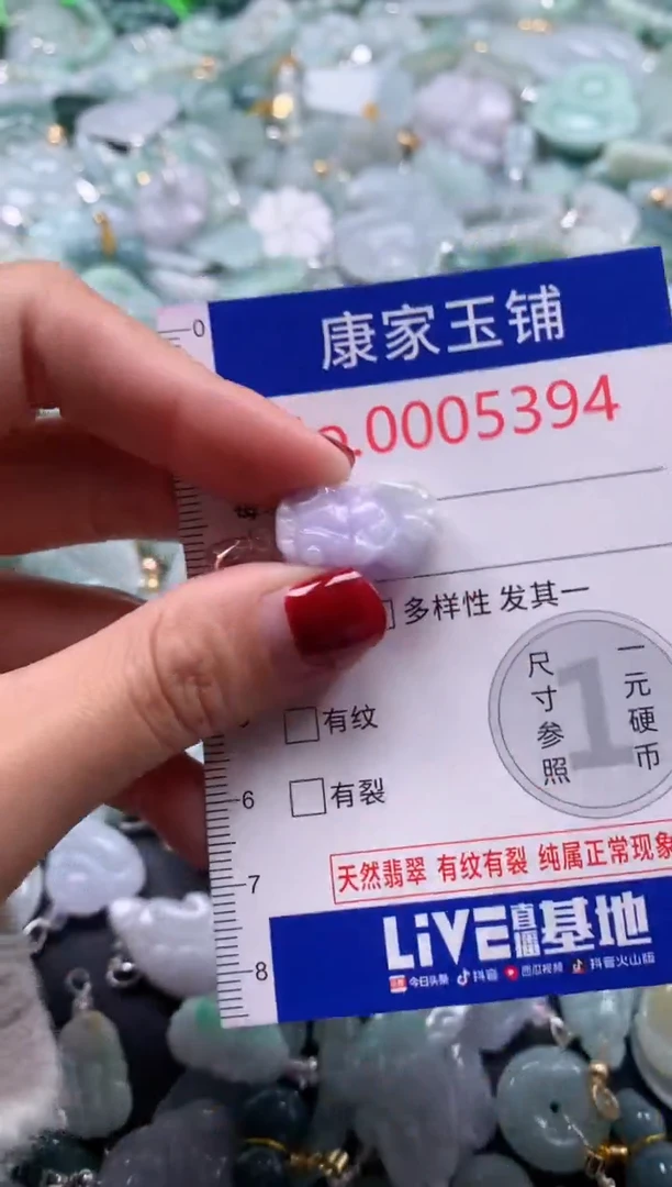 颈饰未镶嵌翡翠5394