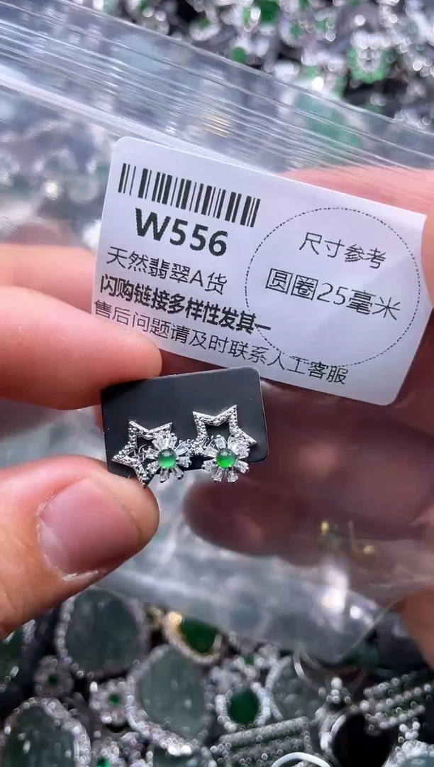 【闪购商品】翡翠颈饰未镶嵌W556耳钉