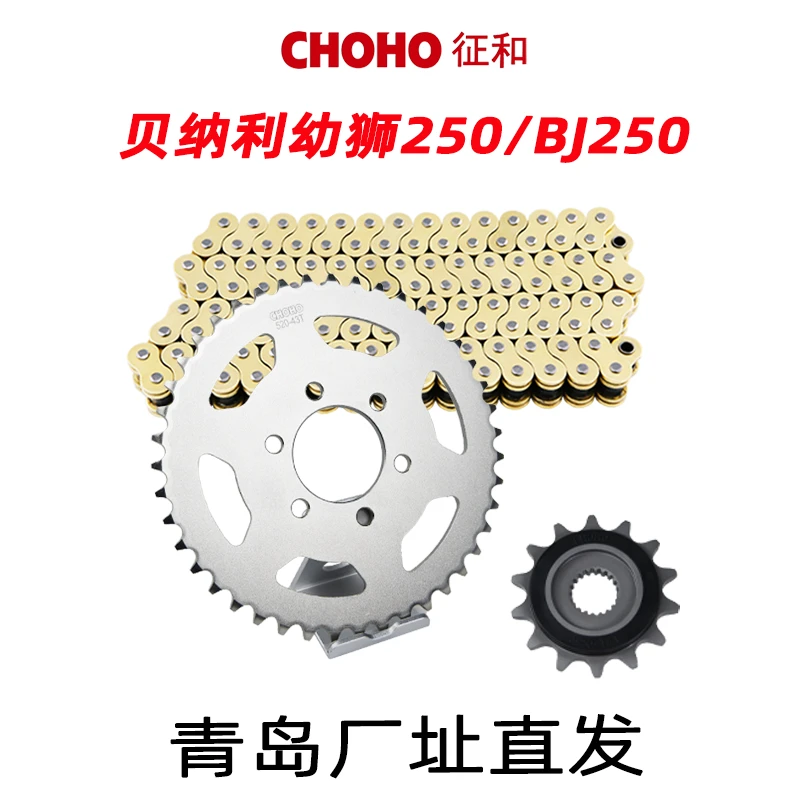适用于钱江贝纳利幼狮250/BJ250/251摩托车征和油封链条链轮牙盘