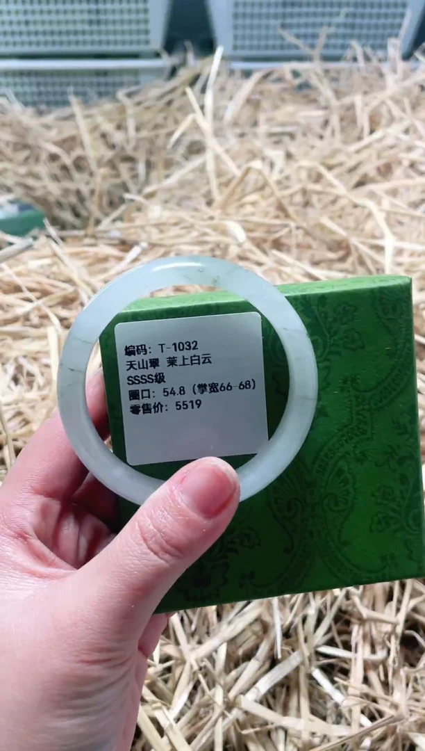 未镶嵌手镯石英质玉T-1032