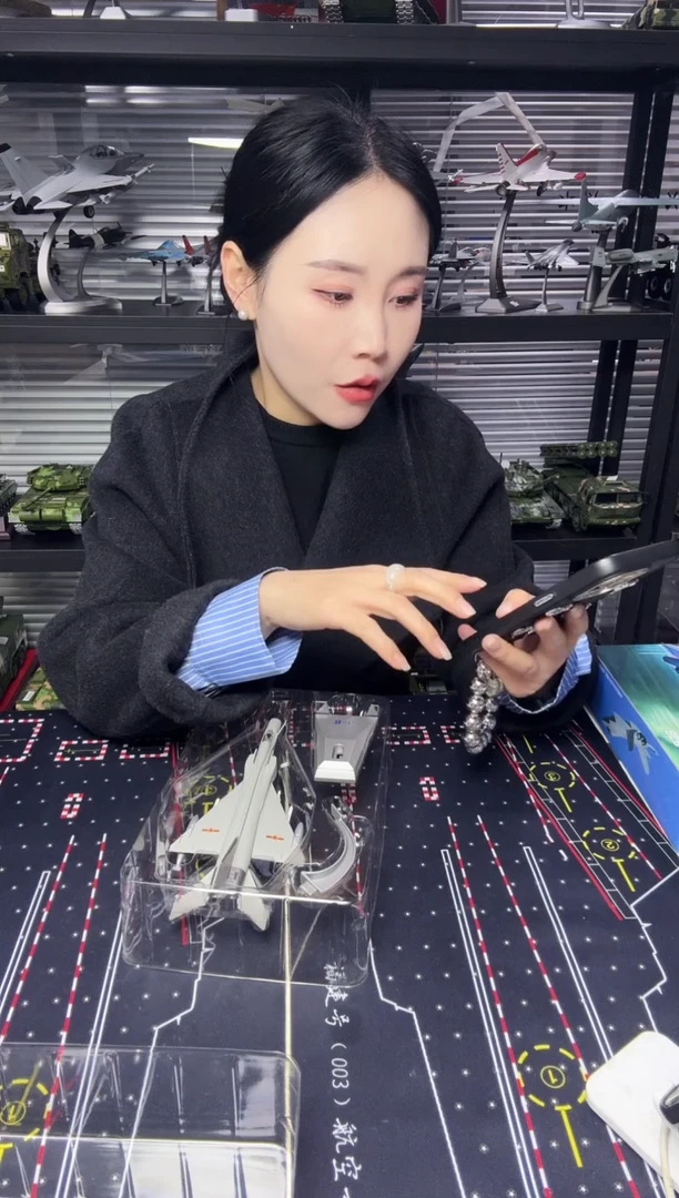 1/100合金飞机模型歼8