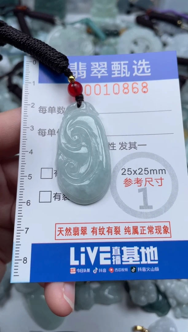 颈饰未镶嵌翡翠10868