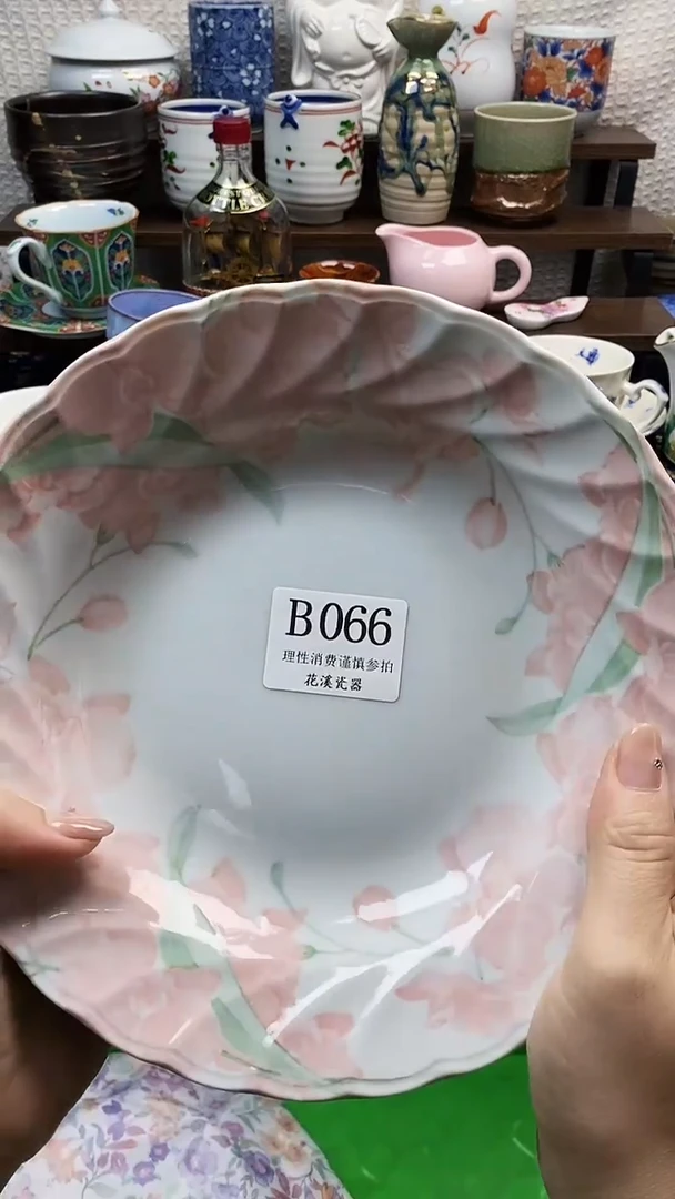 瓷片雪****❄           B066