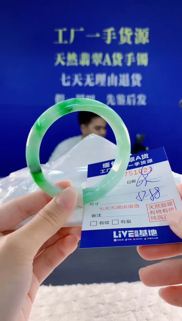 未镶嵌手镯翡翠21