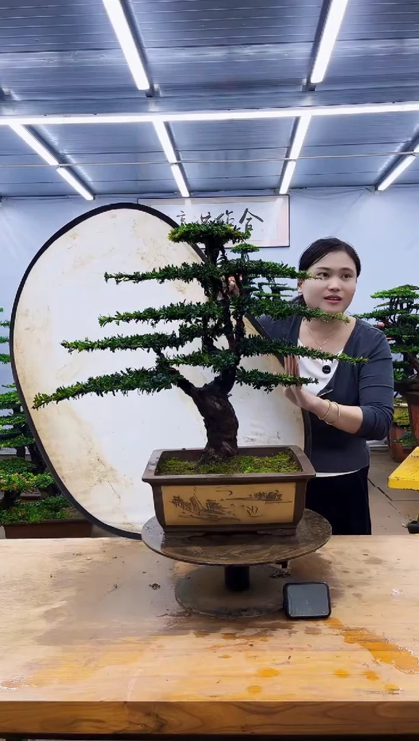 无花朵一物一拍，所见即所得