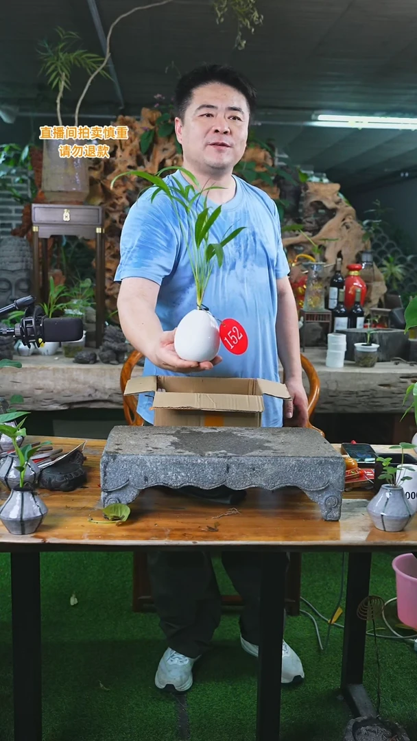 当前无花栽培后可以开花152夏威夷