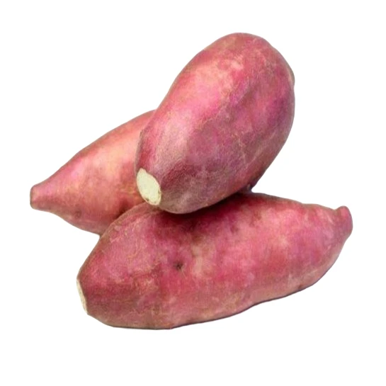 板栗红薯（约650-700克）