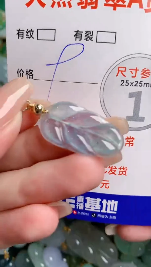 翡翠未镶嵌颈饰24001520