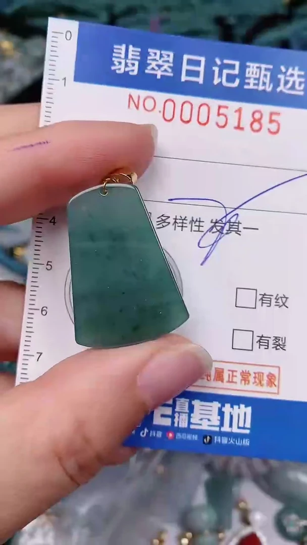 【闪购商品】翡翠颈饰未镶嵌00005185