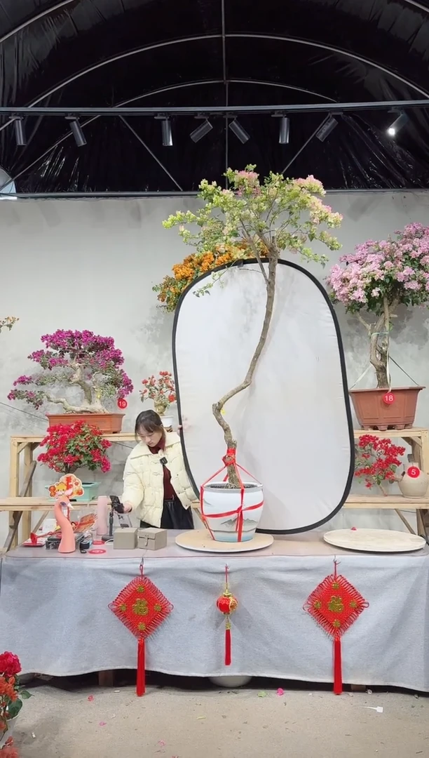 【闪购商品】盆景绿叶粉樱花