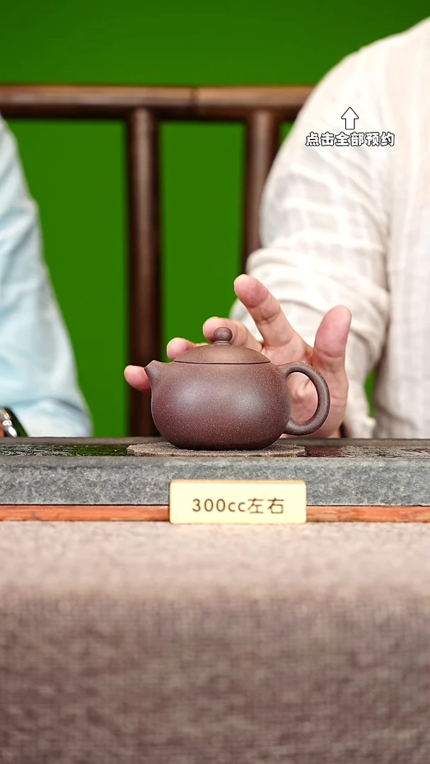 宜兴紫砂茶壶茶壶67