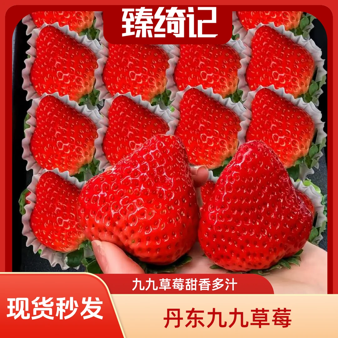 =【现货秒发】丹东九九草莓红颜牛奶草莓东港产地直发顺丰京东包邮