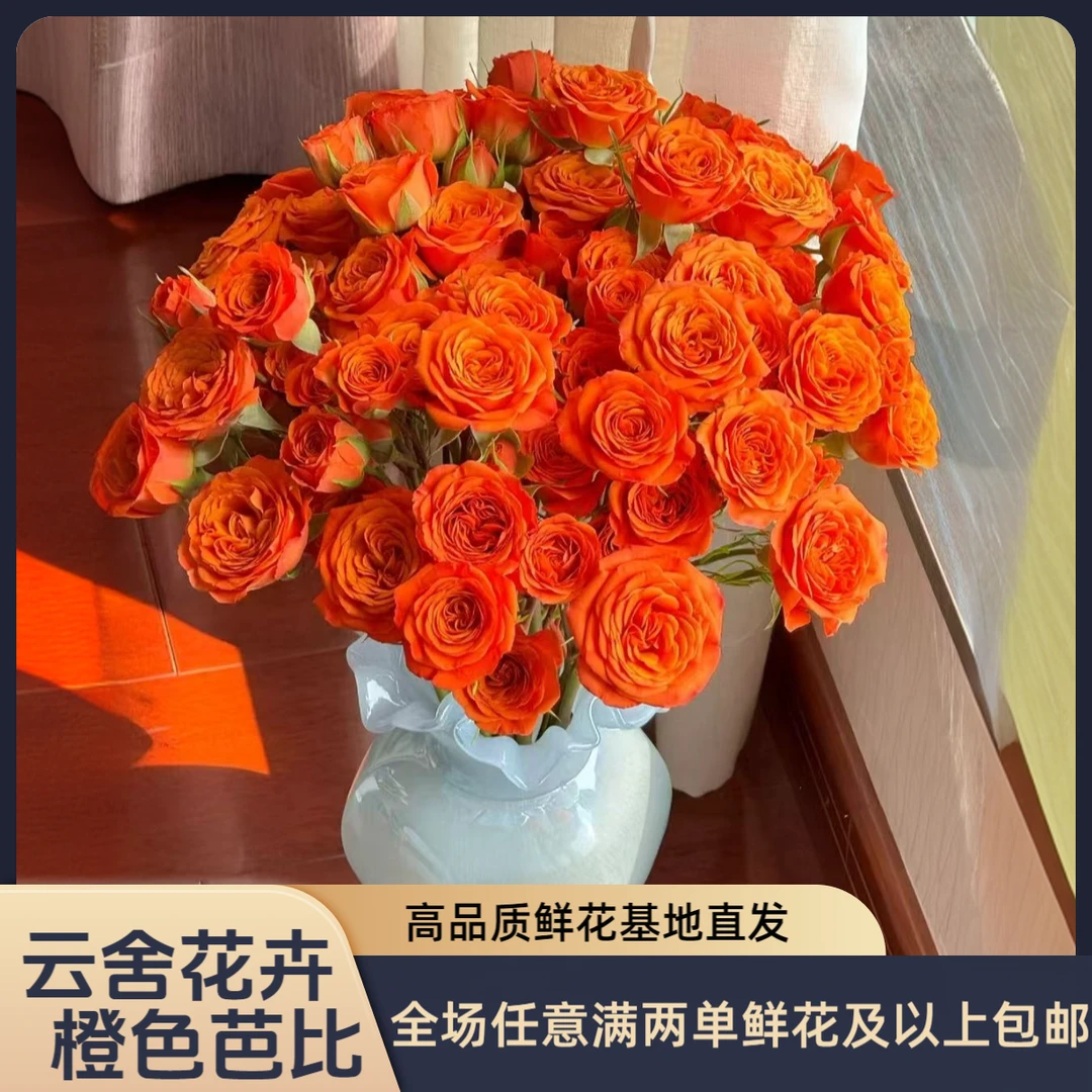 【云舍花卉】橙色芭比多头玫瑰全场鲜花满2单及以上鲜花包邮