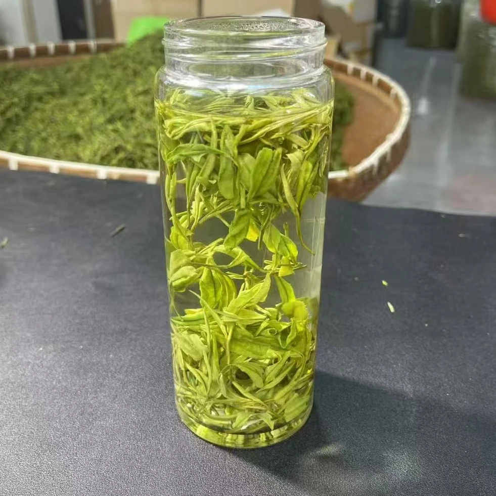 安吉高山白茶新品