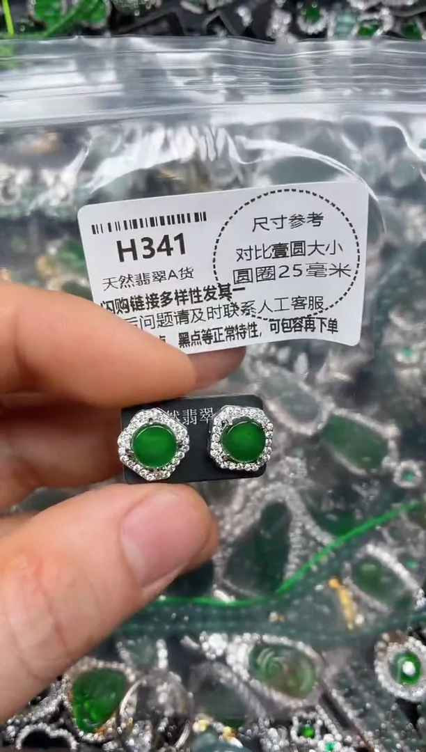 颈饰未镶嵌翡翠H341耳钉