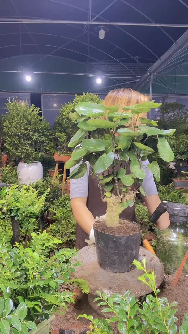 完全开放1111111111