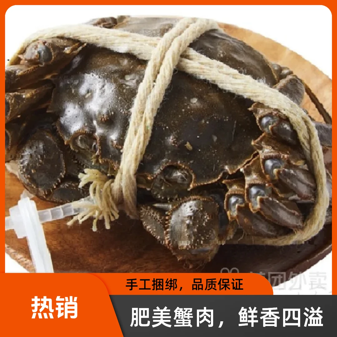 鲜活大闸蟹 母蟹约2.8-3两/只
