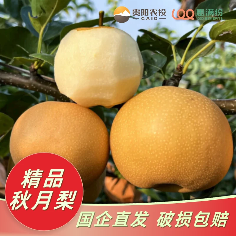 农投精选秋月梨一斤装贵州省