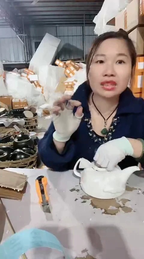 【闪购商品】瑕疵白色水壶不能明火