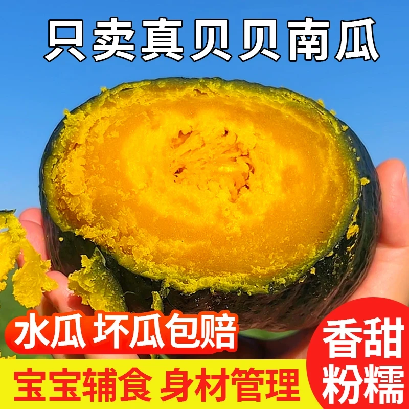 【四】粉糯香甜板栗味贝贝南瓜新鲜应季蔬菜宝宝辅食5斤装（带箱）