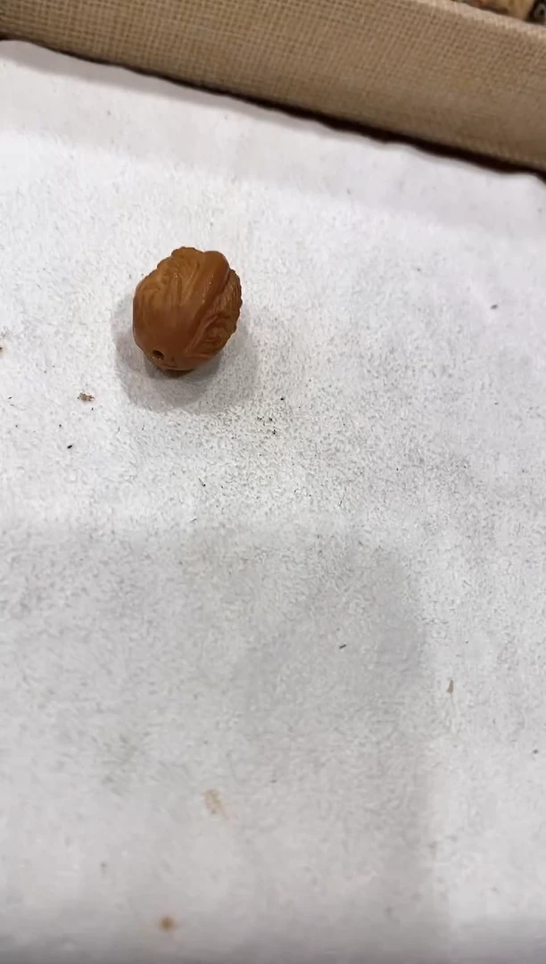 ?****?链接一链接一链接一