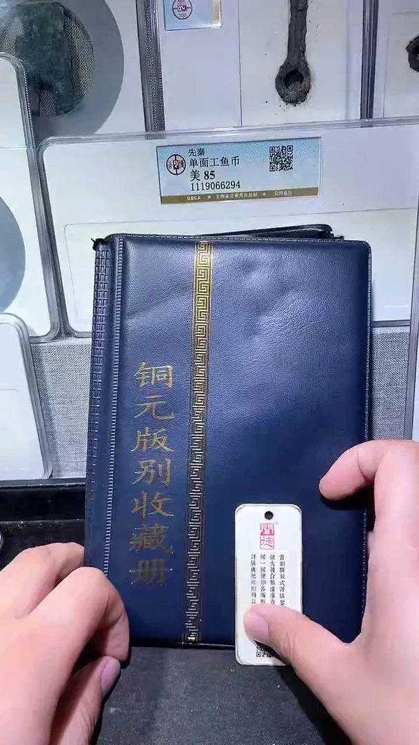 铜历代 铜元版别收藏册