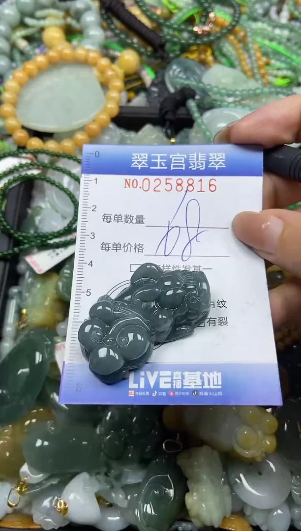 颈饰未镶嵌翡翠闪购C0258816