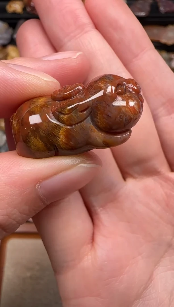 硅化珊瑚（珊瑚玉）未镶嵌颈饰392