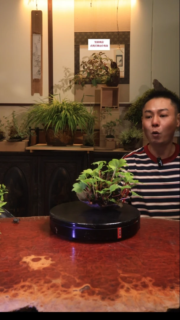 无花朵认为他热热和田玉特