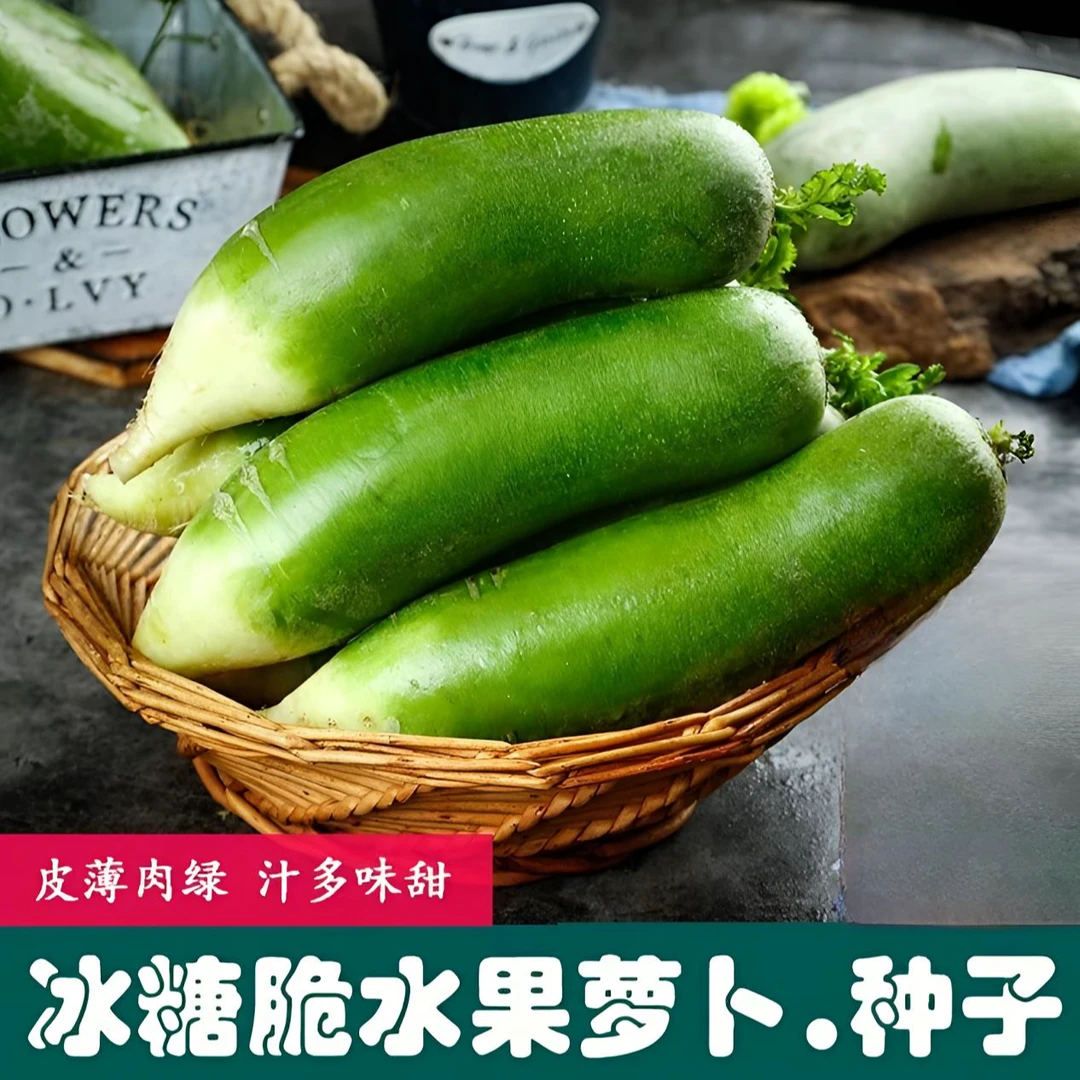 【冰糖脆水果萝卜种子】家庭阳台小院盆栽地栽四季种植
