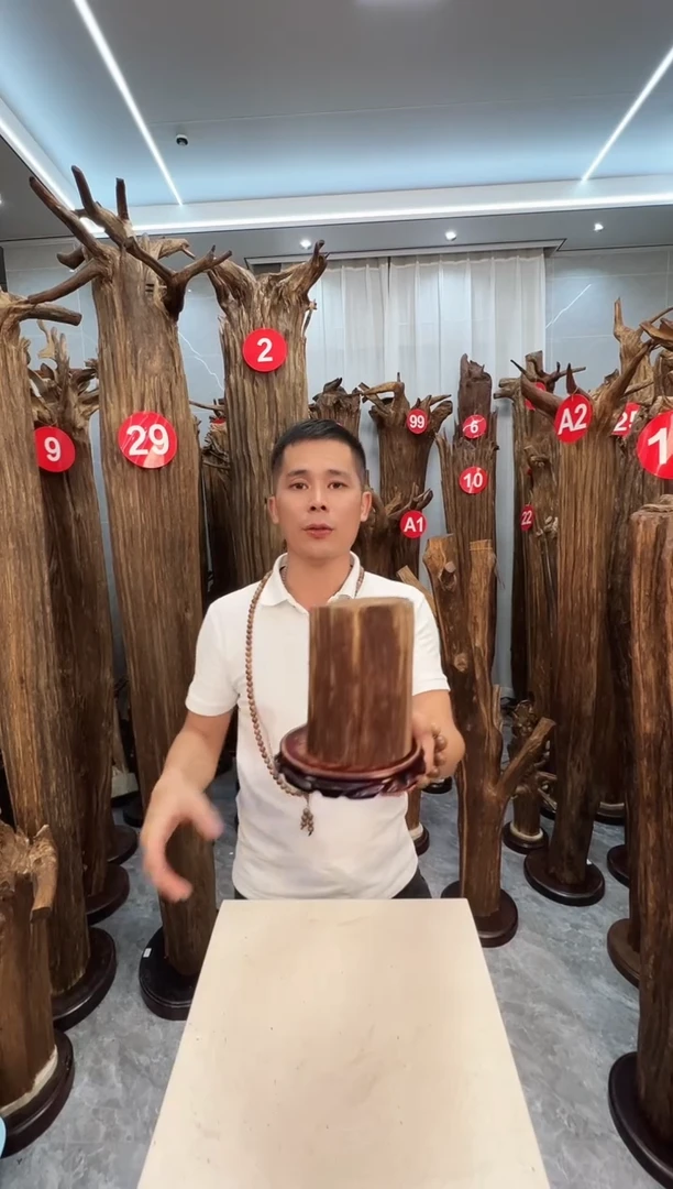 沉香沉香碎屑沉香原料