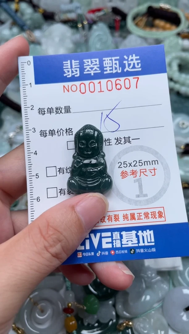 颈饰未镶嵌翡翠10607