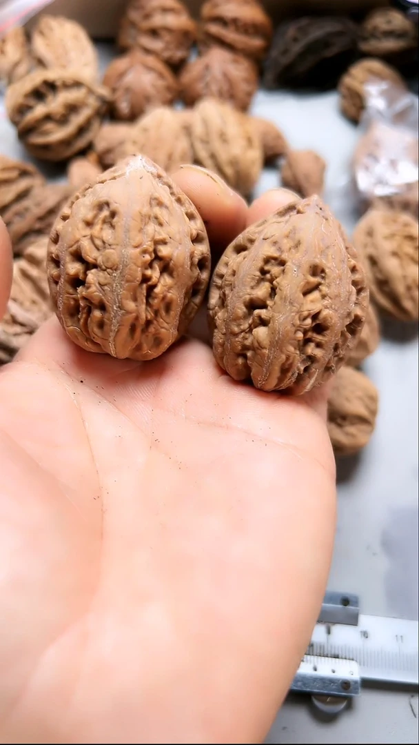 核桃东北野生大秋子6