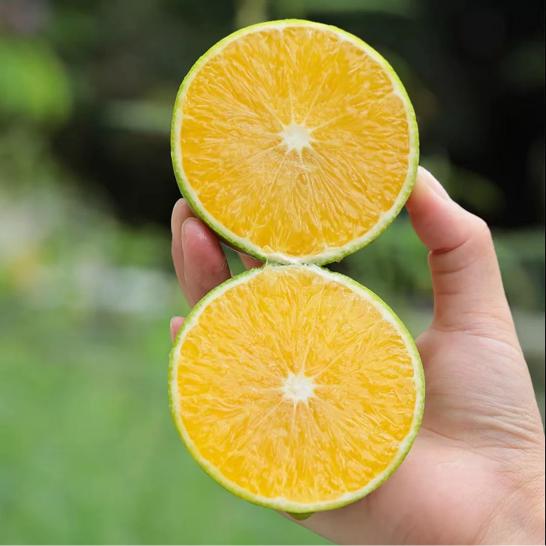 【现摘现发】云南哀牢山冰糖橙青皮橙子孕妇多汁应季水果带箱5斤Q
