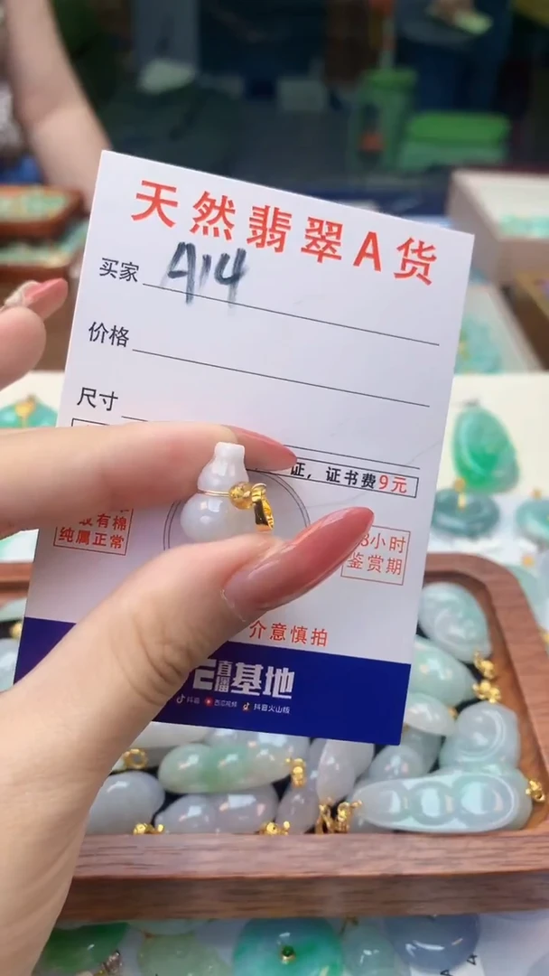 颈饰未镶嵌翡翠天然A货翡翠挂件