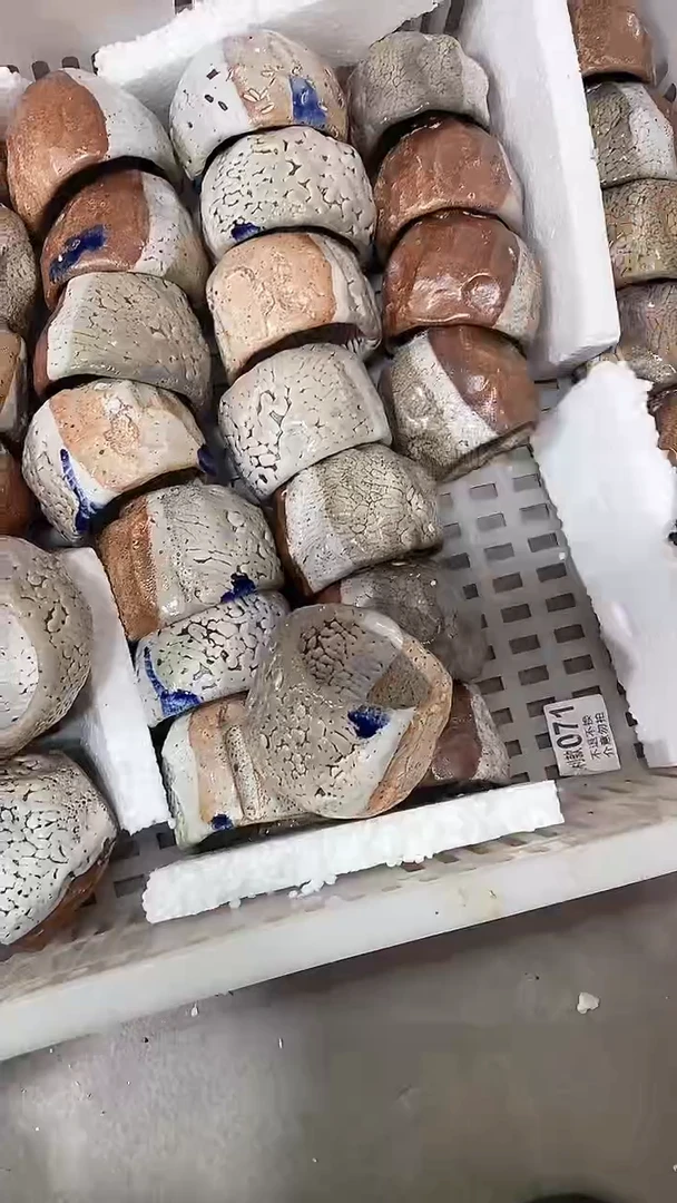 瓷片陶瓷茶器福利