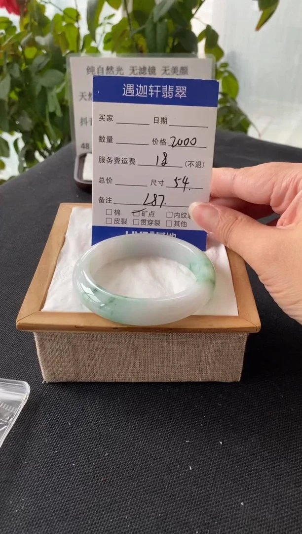 未镶嵌手镯翡翠54圈口 L87编码