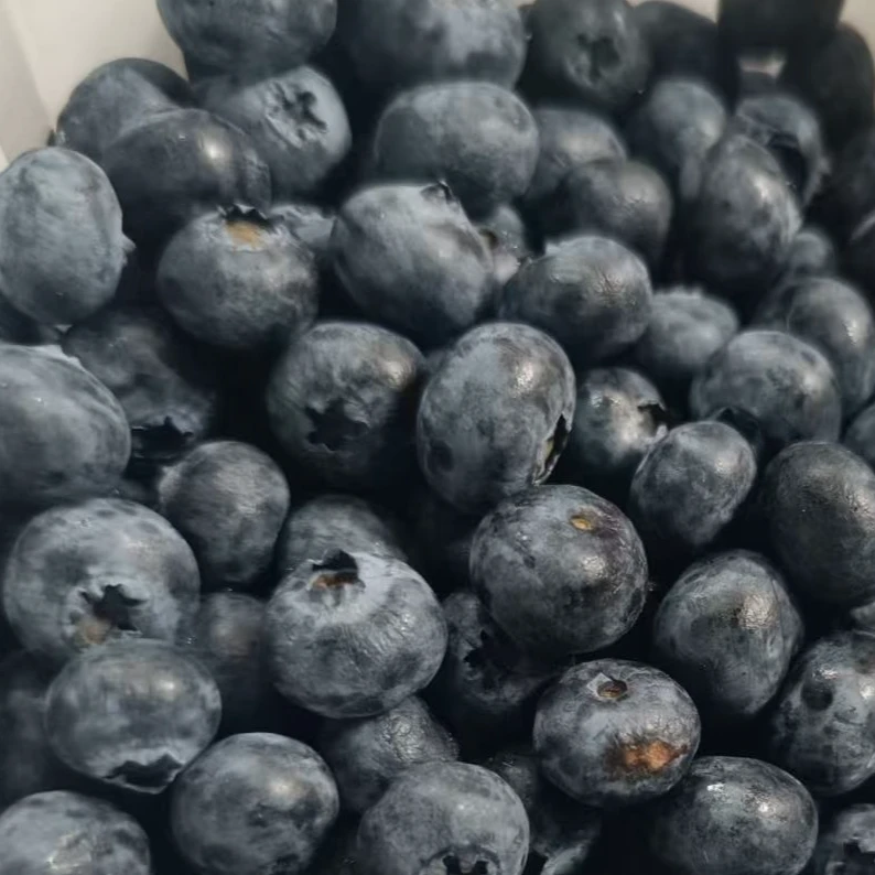 云南蓝莓1斤 20元（12mm-17mm）云南省