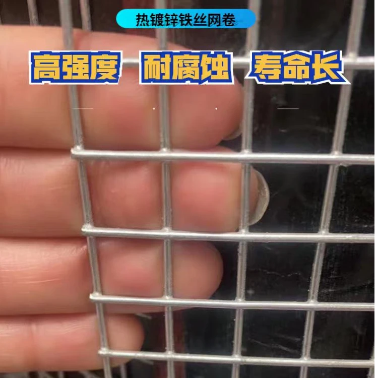 热镀锌电焊网养殖网鸽舍鸟笼铁丝网防蛇鼠阳台防护网钢丝网网格兔