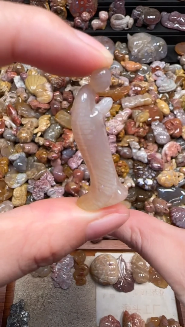 颈饰未镶嵌硅化珊瑚（珊瑚玉）352