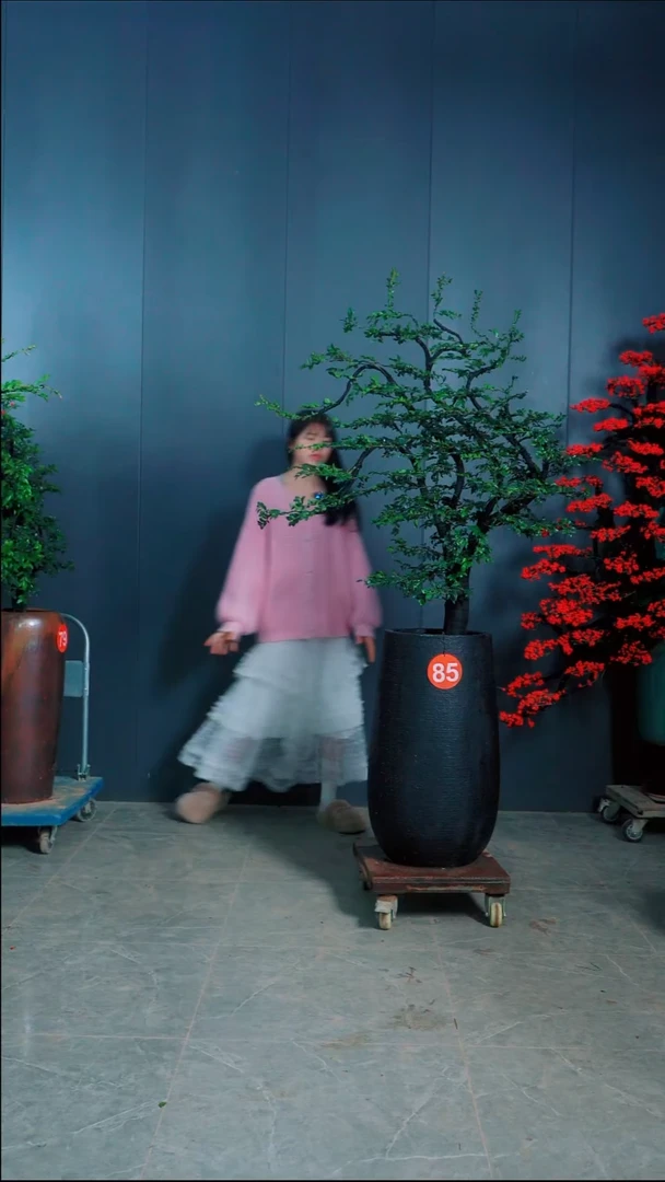 无花朵大**翠广东小叶紫檀.85号