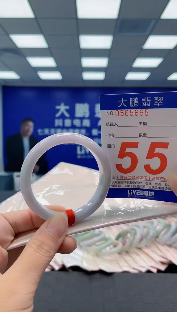 未镶嵌手镯翡翠AAAAAAAAAA