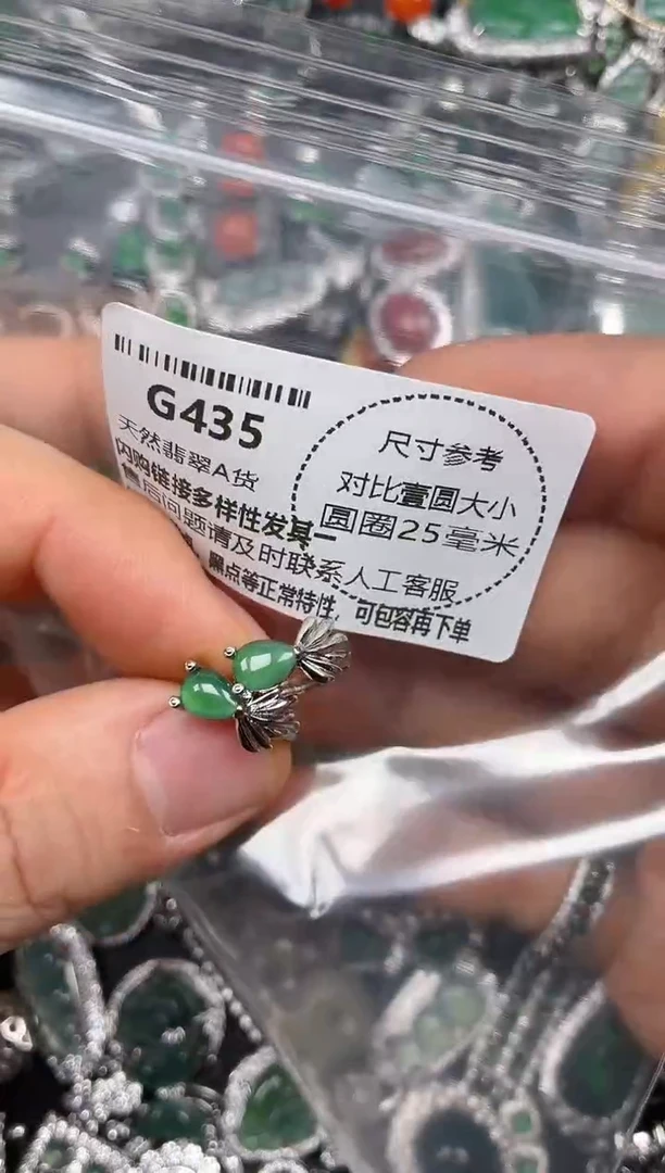 颈饰未镶嵌翡翠G435耳扣