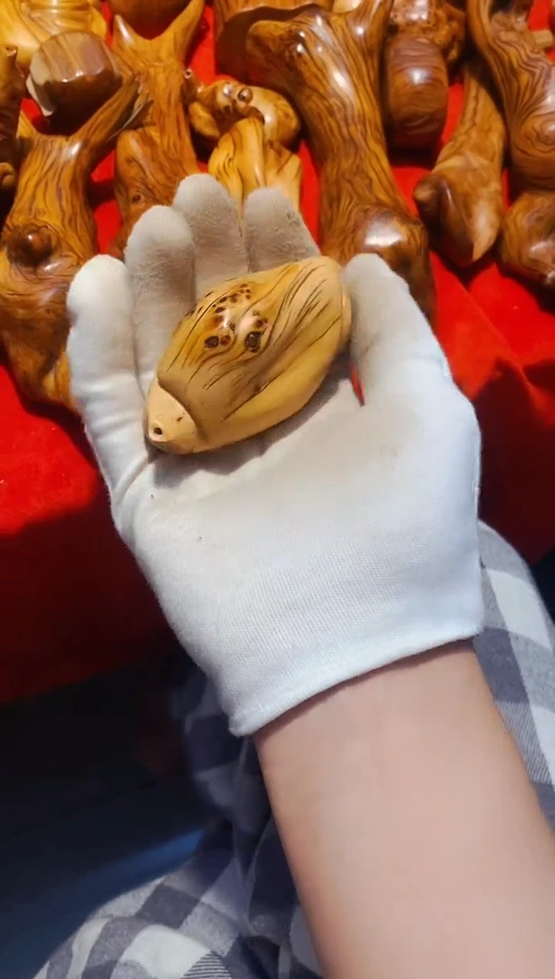 【闪购商品】柏木75崖柏崖柏崖柏