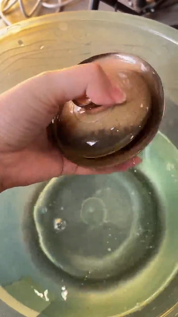 盖碗210号容量100-110ML陶泥