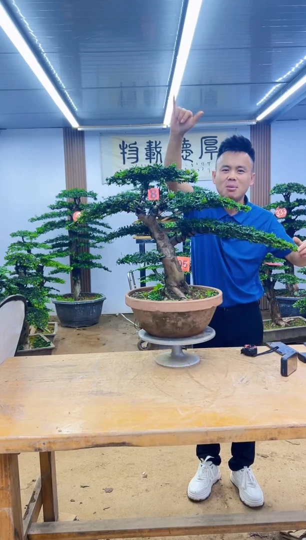 完全开放0000000000