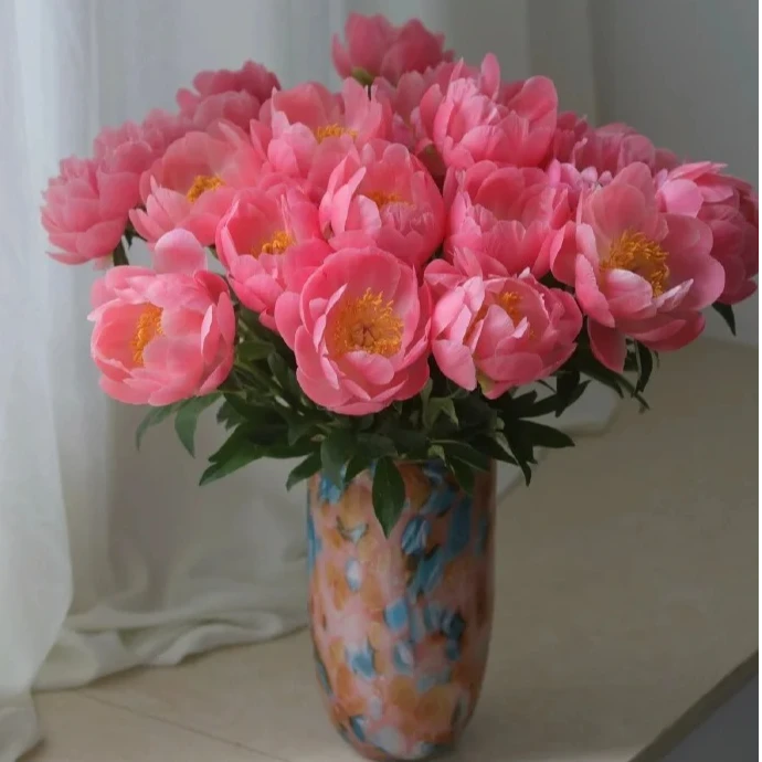 花福十花边新闻-芍药落日珊瑚-鲜花批发直播